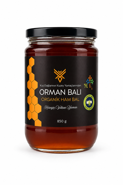Organik Orman Ham Bal 850gr Kaz Dağları