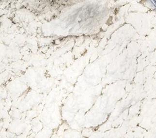 Sodyum Aljinat 100 gr