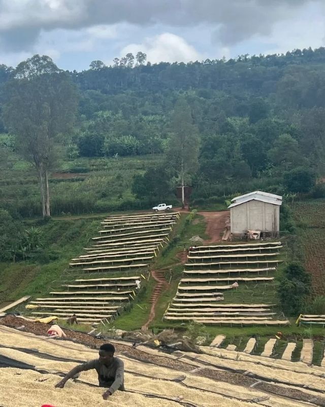 Burundi / Busasa / Washed
