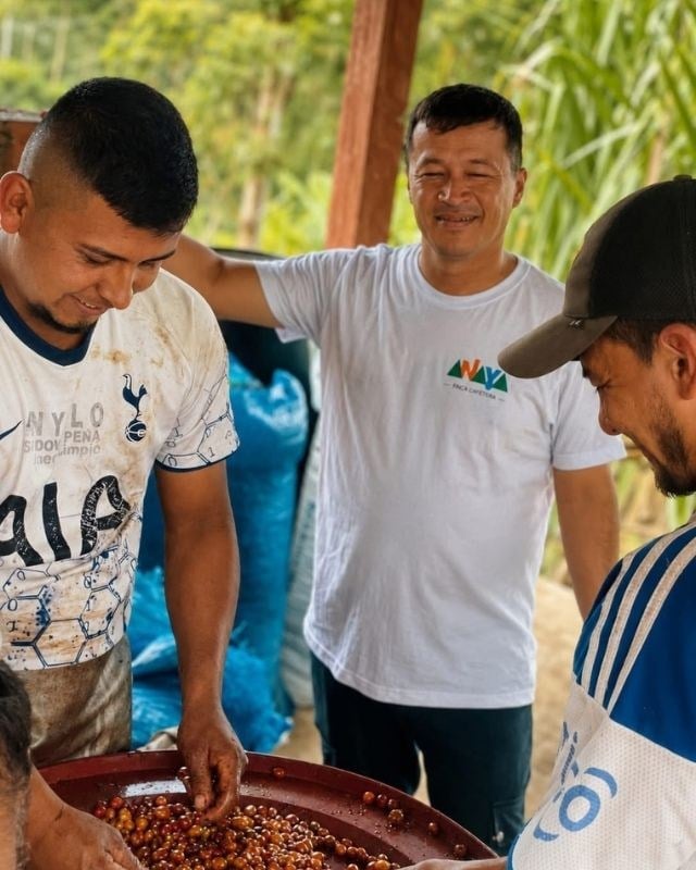 Colombia / Ambera Farm / Peach Co - Ferment
