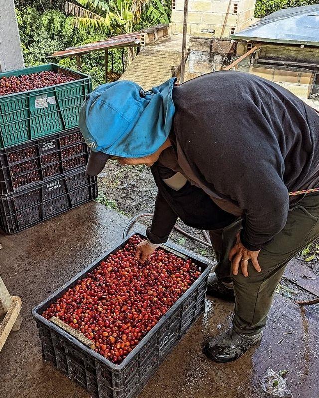 Colombia / Valparaiso / Natural