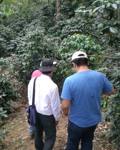 Peru / Cenfrocafe / Water Decaf