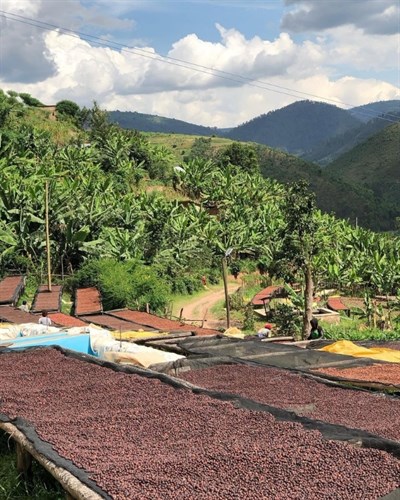 Rwanda / Akagera / Natural