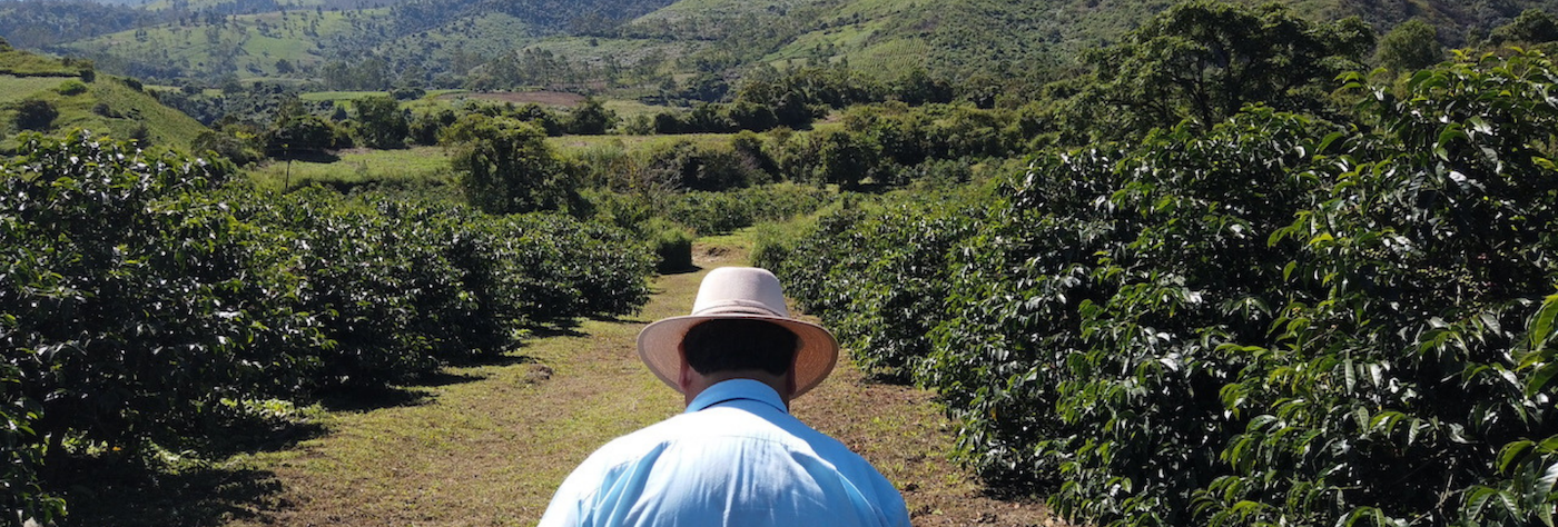 Ecuador / Finca Lugmapata