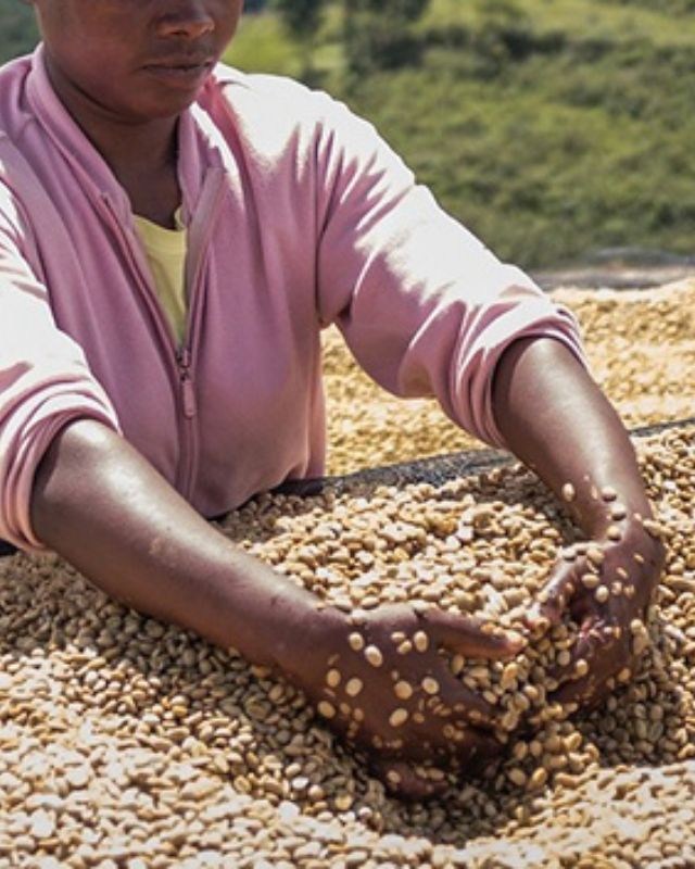 Burundi / Busasa / Washed