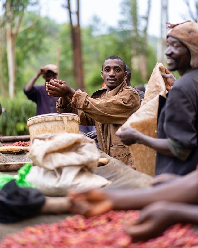 Burundi / Nyagishiru / Washed