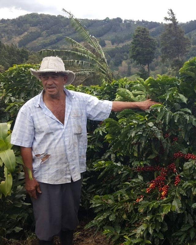 Costa Rica / Los Robles / Natural Reposado