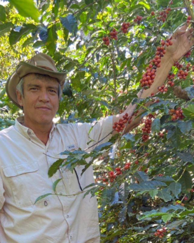 El Salvador / Finca El Gobiado / Anaerobic Natural