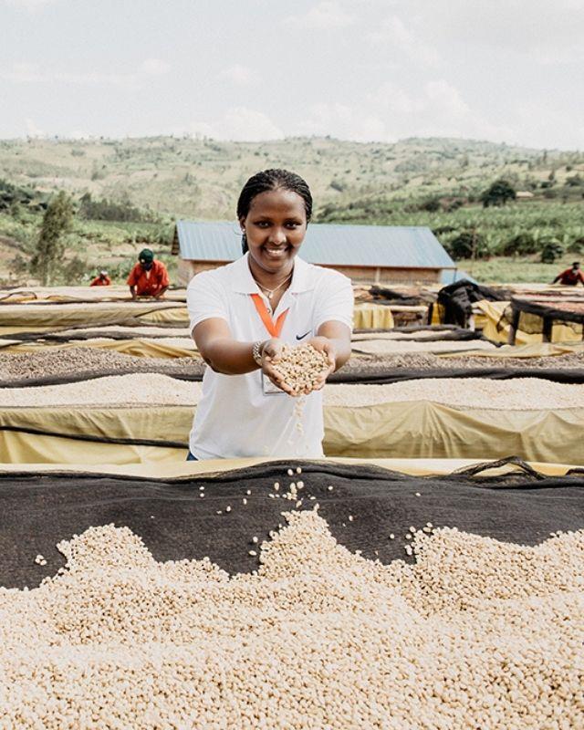 Gisa Rwanda Shop Rwanda / Gisanga / Washed