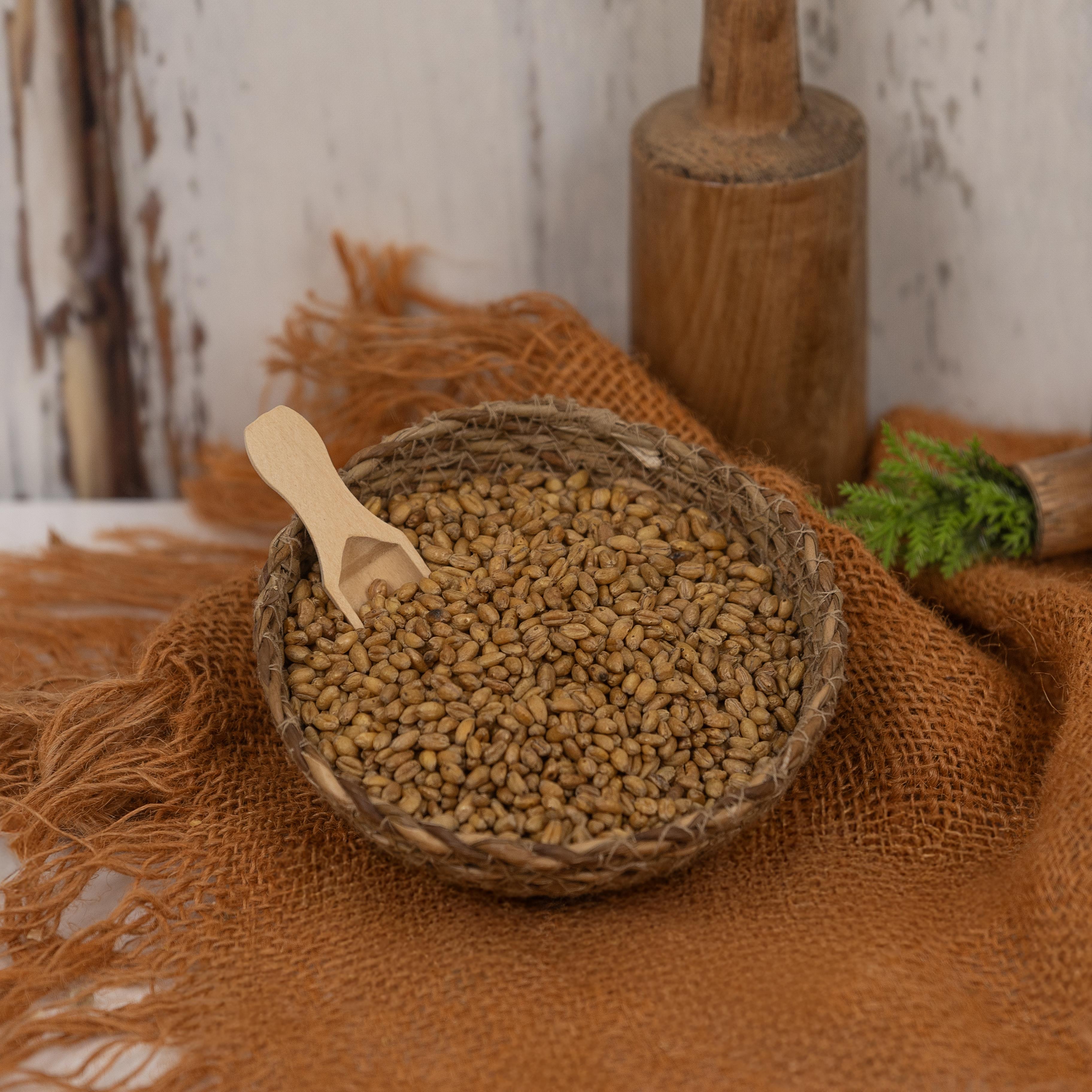 Buğday Kavurgası