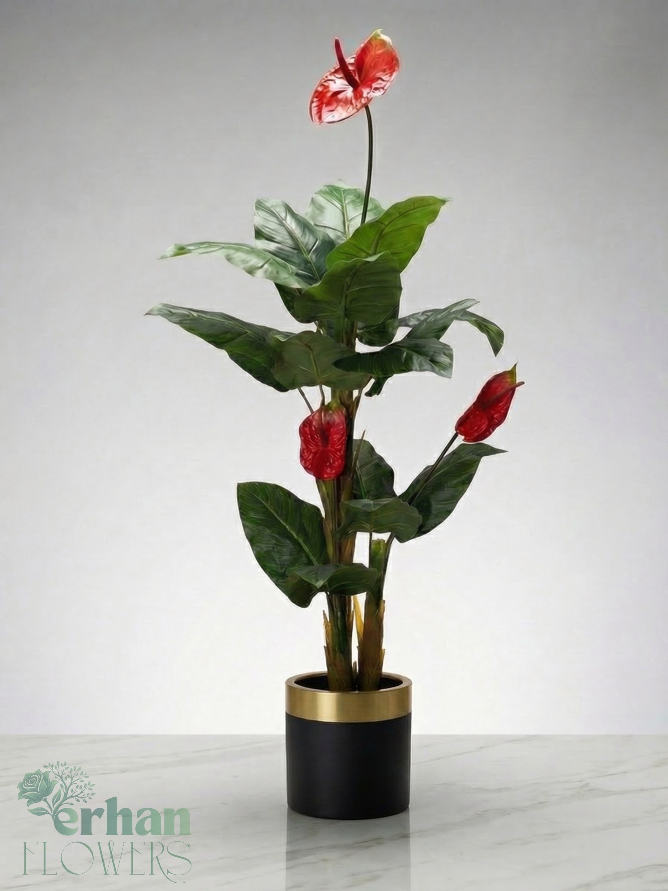 Yapay Antoryum ( Anthurium) Ağacı