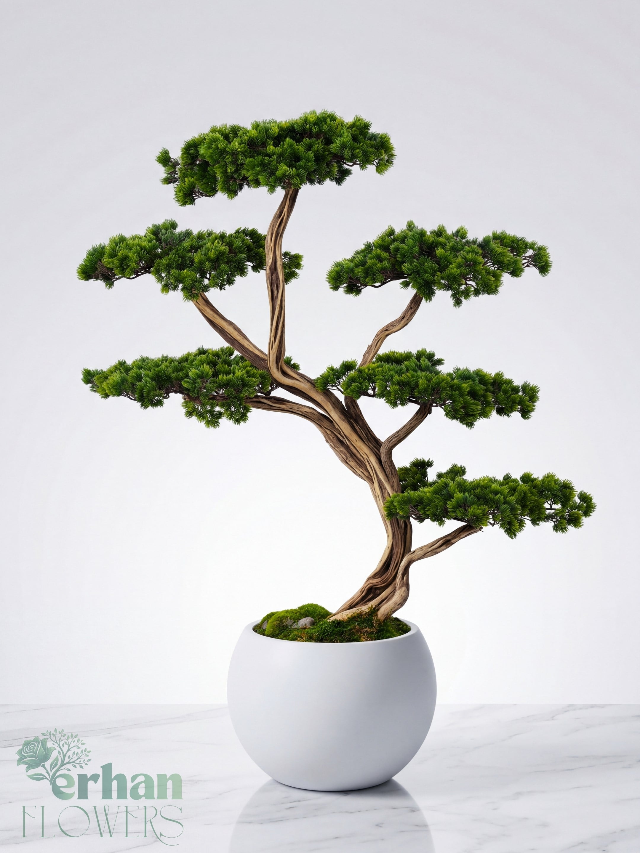 Yapay Bonsai Ağacı 