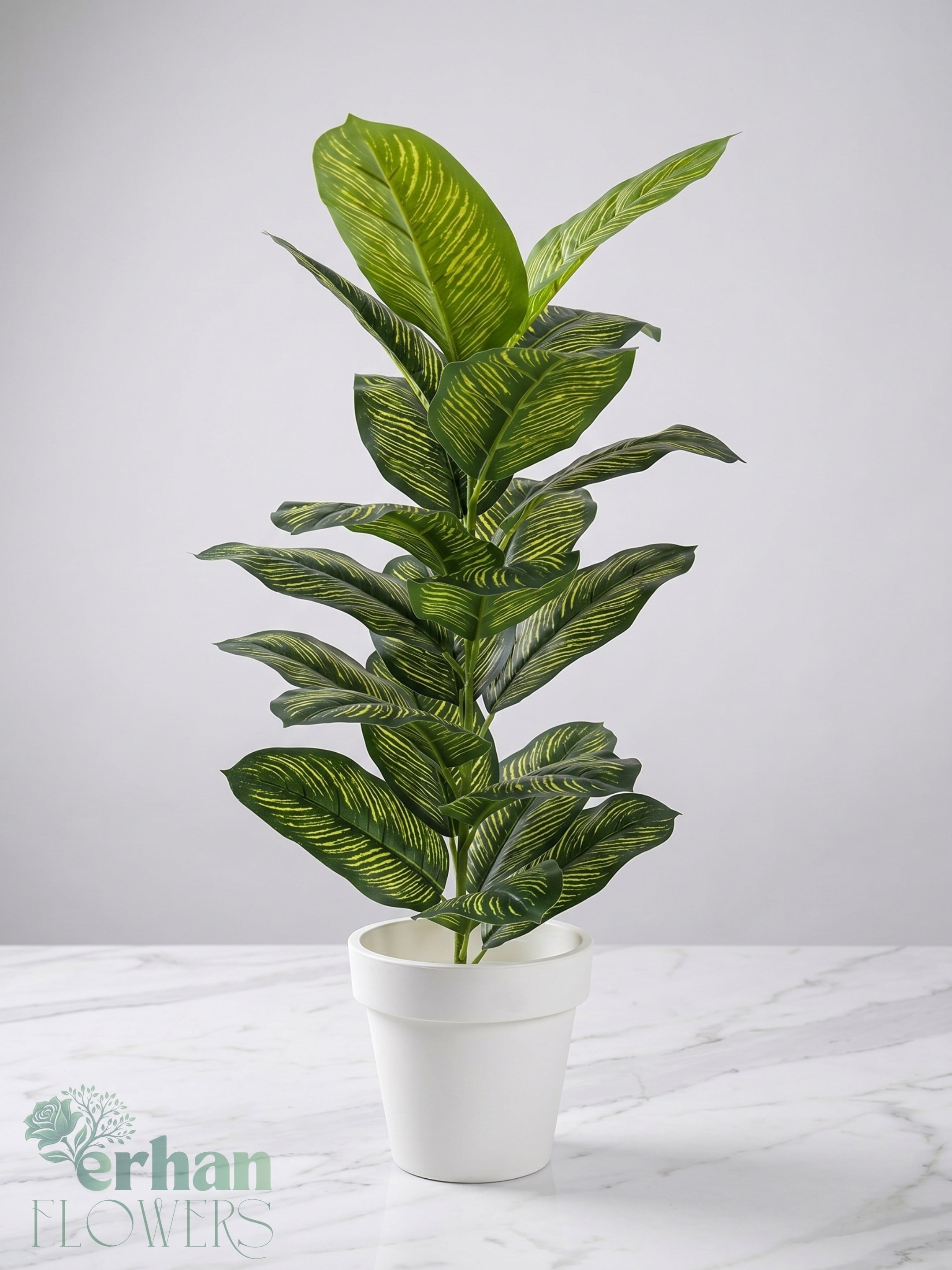 Yapay Difenbahya 90 cm | Metal ve Plastik Saksılı Tropikal Yapay BitkiYapay Difenbahya 90 cm 
