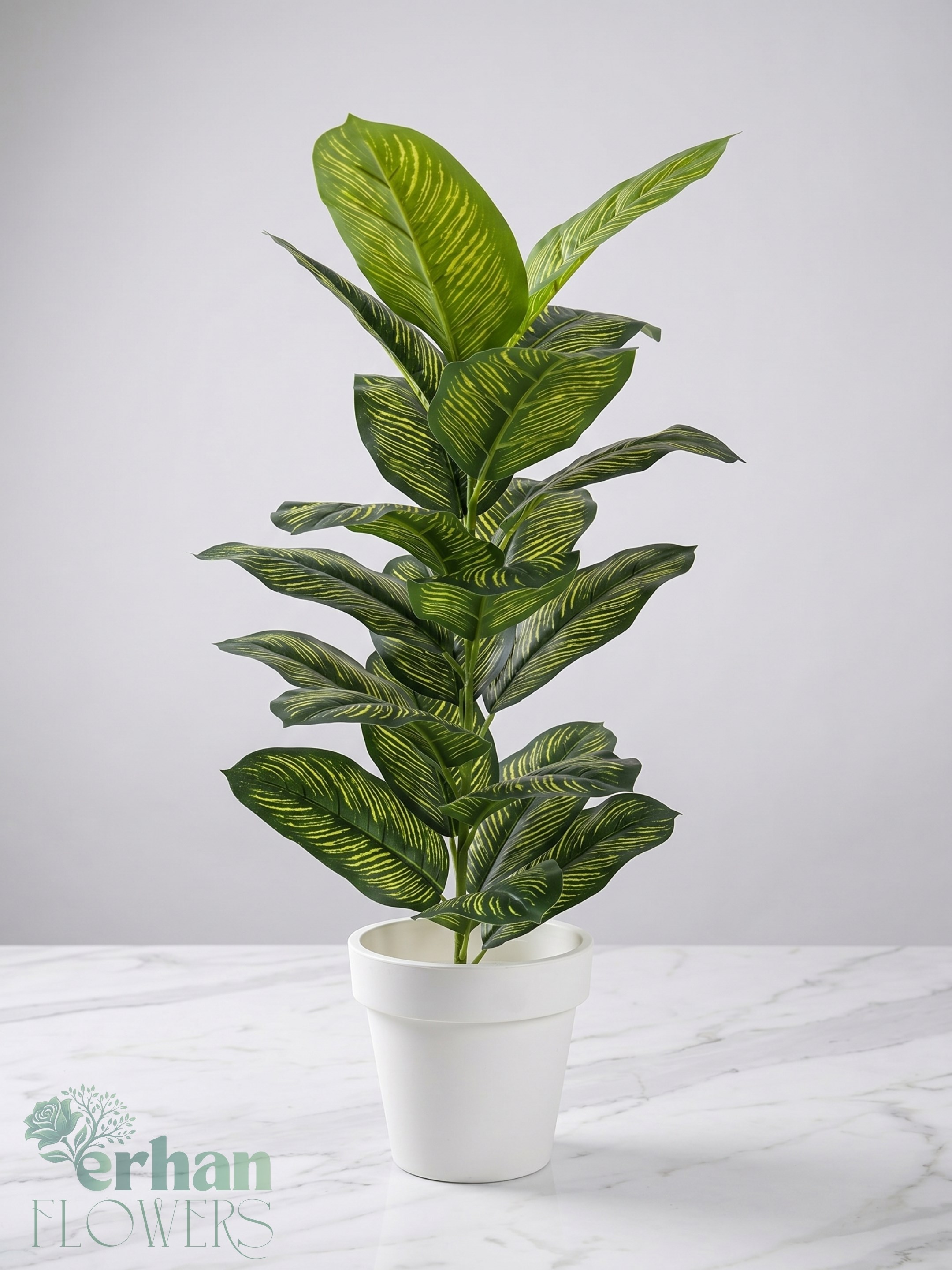 Yapay Difenbahya 90 cm | Metal ve Plastik Saksılı Tropikal Yapay BitkiYapay Difenbahya 90 cm 