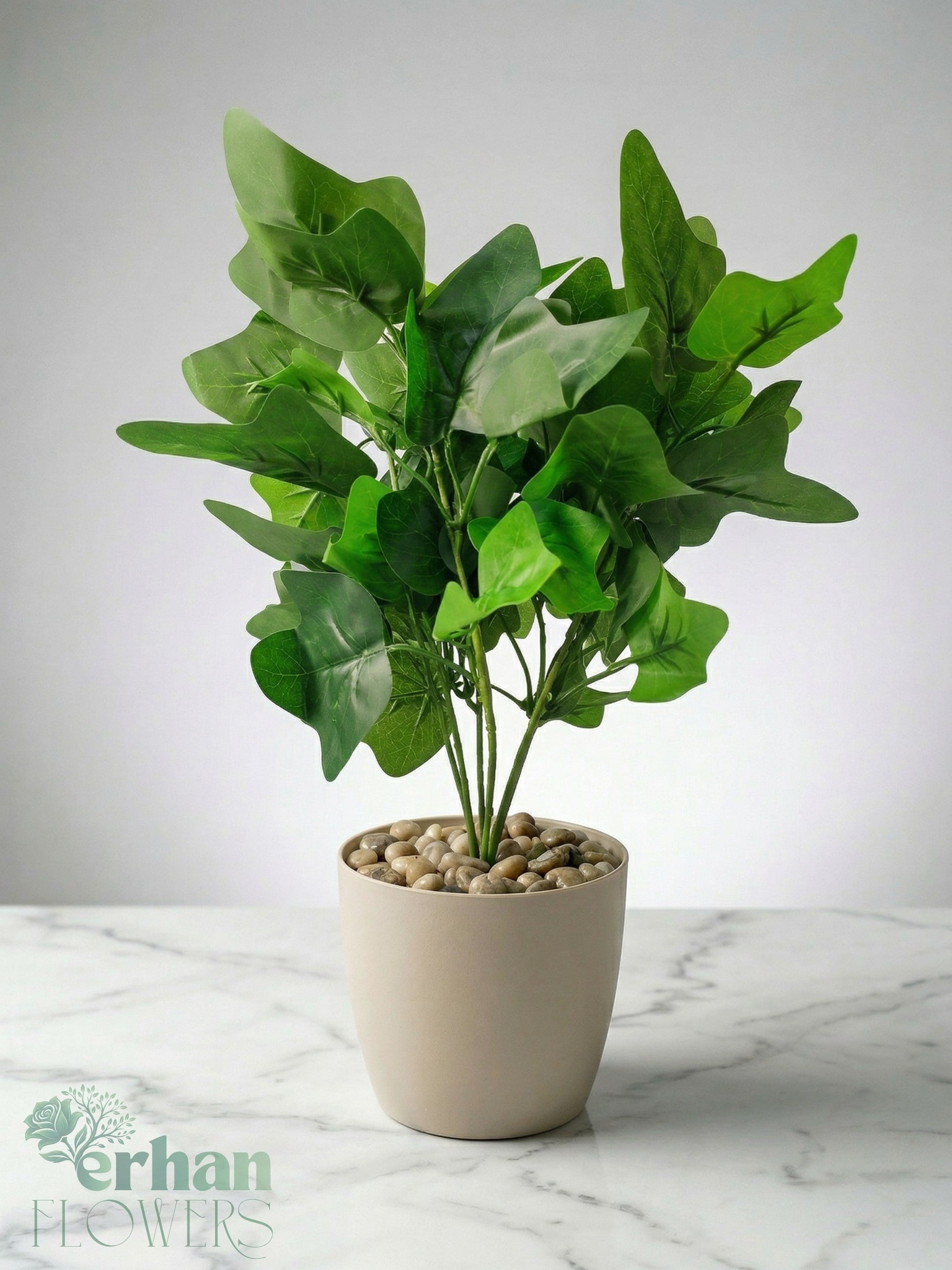 Masaüstü Süs Bitkisi 35 cm | Saksılı ve Saksısız Dekoratif BitkiYapay Masaüstü Süs Bitkisi Koyu Yeşil Desen 35 cm
