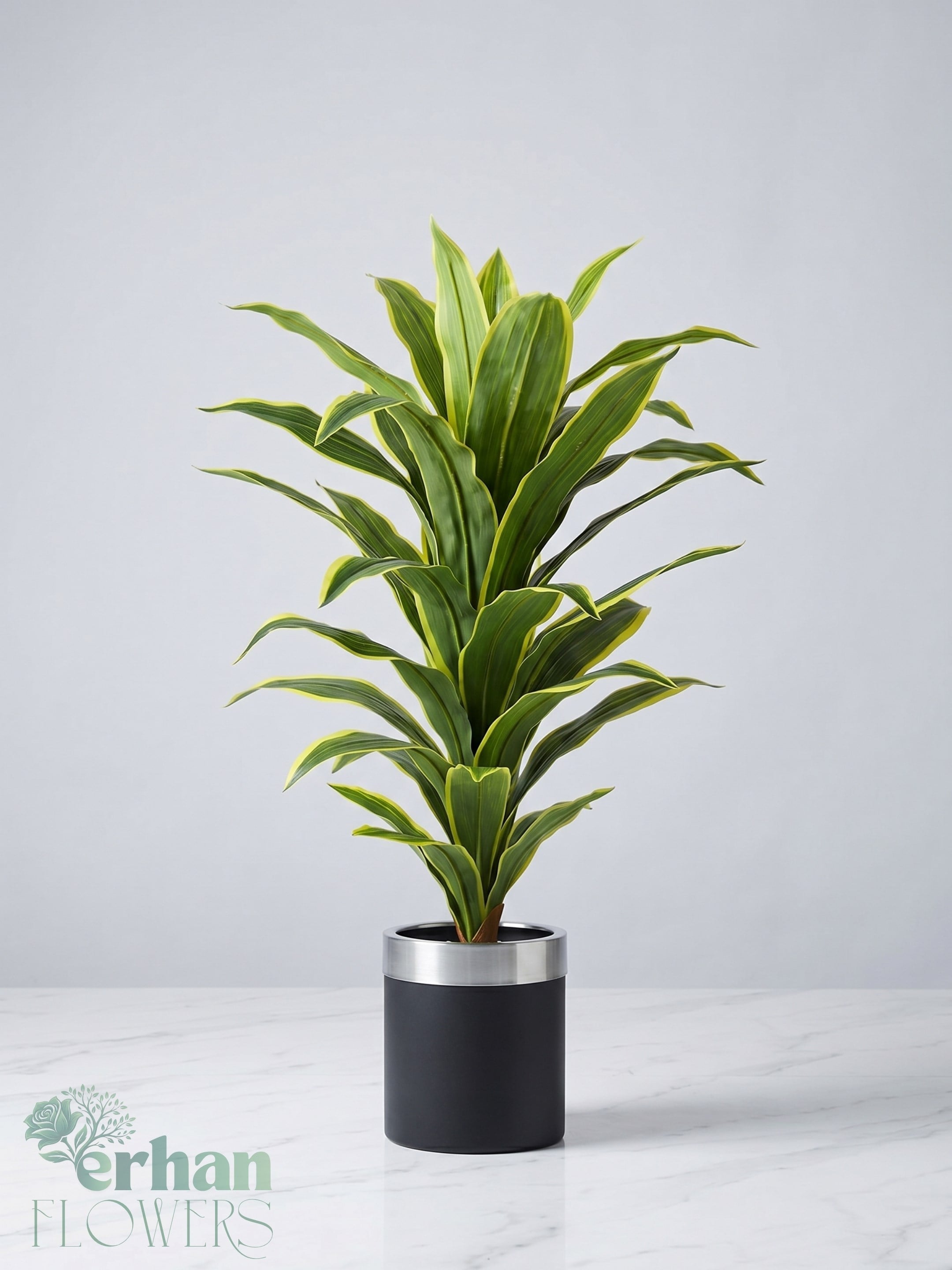 Yapay Mısır Ağacı (Dracena) 130 cm | Dekoratif Tropikal Yapay BitkiYapay Mısır Birkisi (Dracena) 130 cm