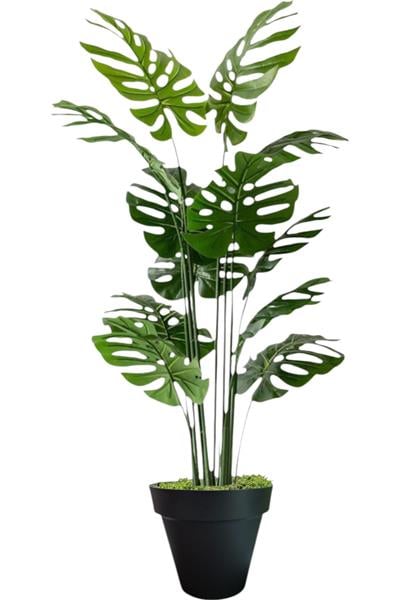  Yapay Ağaç Monstera Deve Tabanı Ağacı 180 cm 16 Yaprak siyah plastik saksı