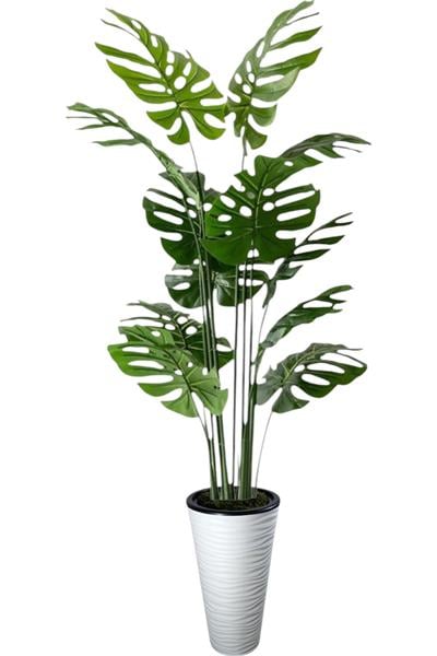  Yapay Ağaç Monstera Deve Tabanı Ağacı 180 cm 16 Yaprak kumsal saksı