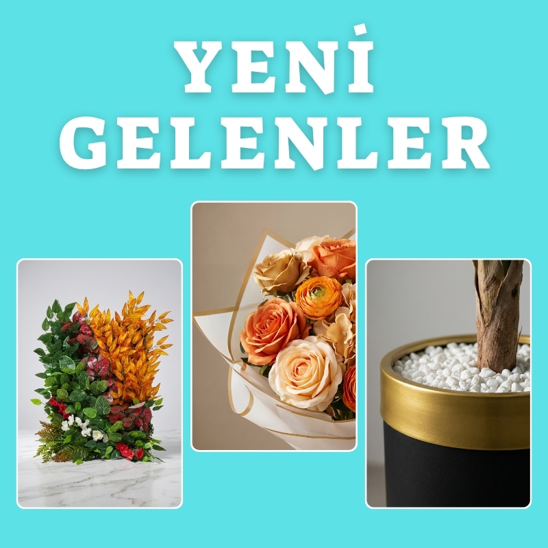 Yeni Gelenler