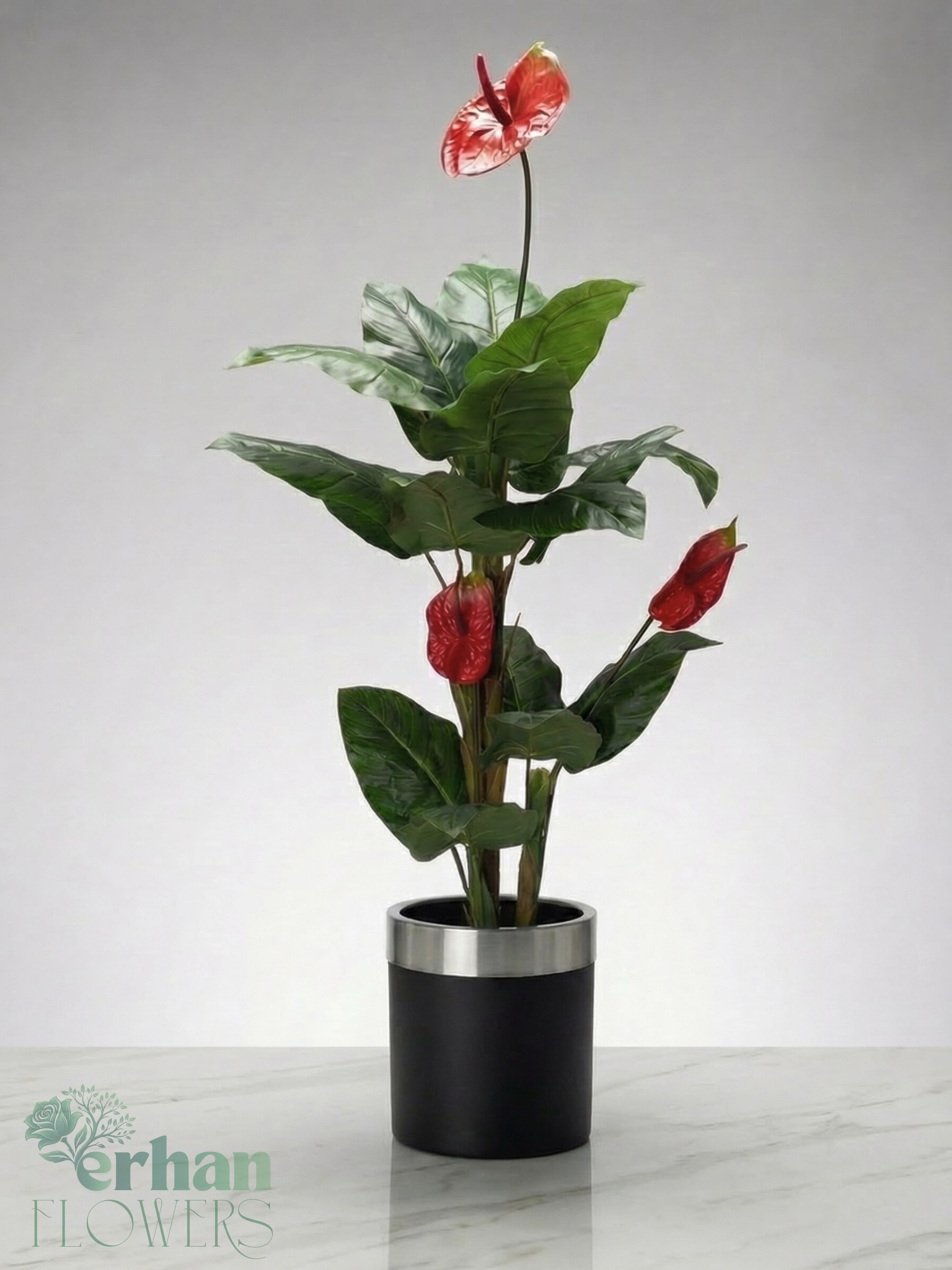 Yapay Antoryum ( Anthurium) Ağacı