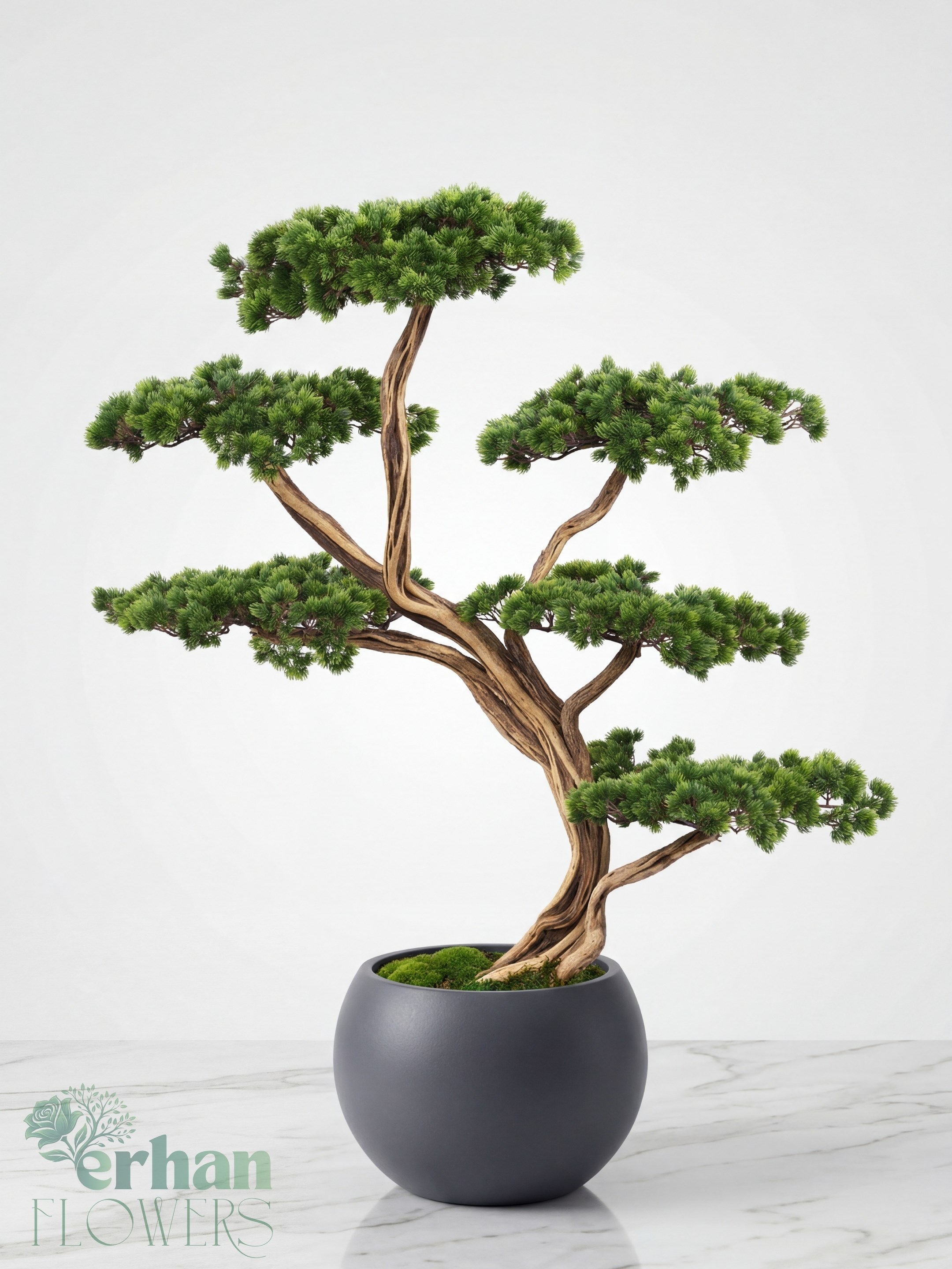 Yapay Bonsai Ağacı 