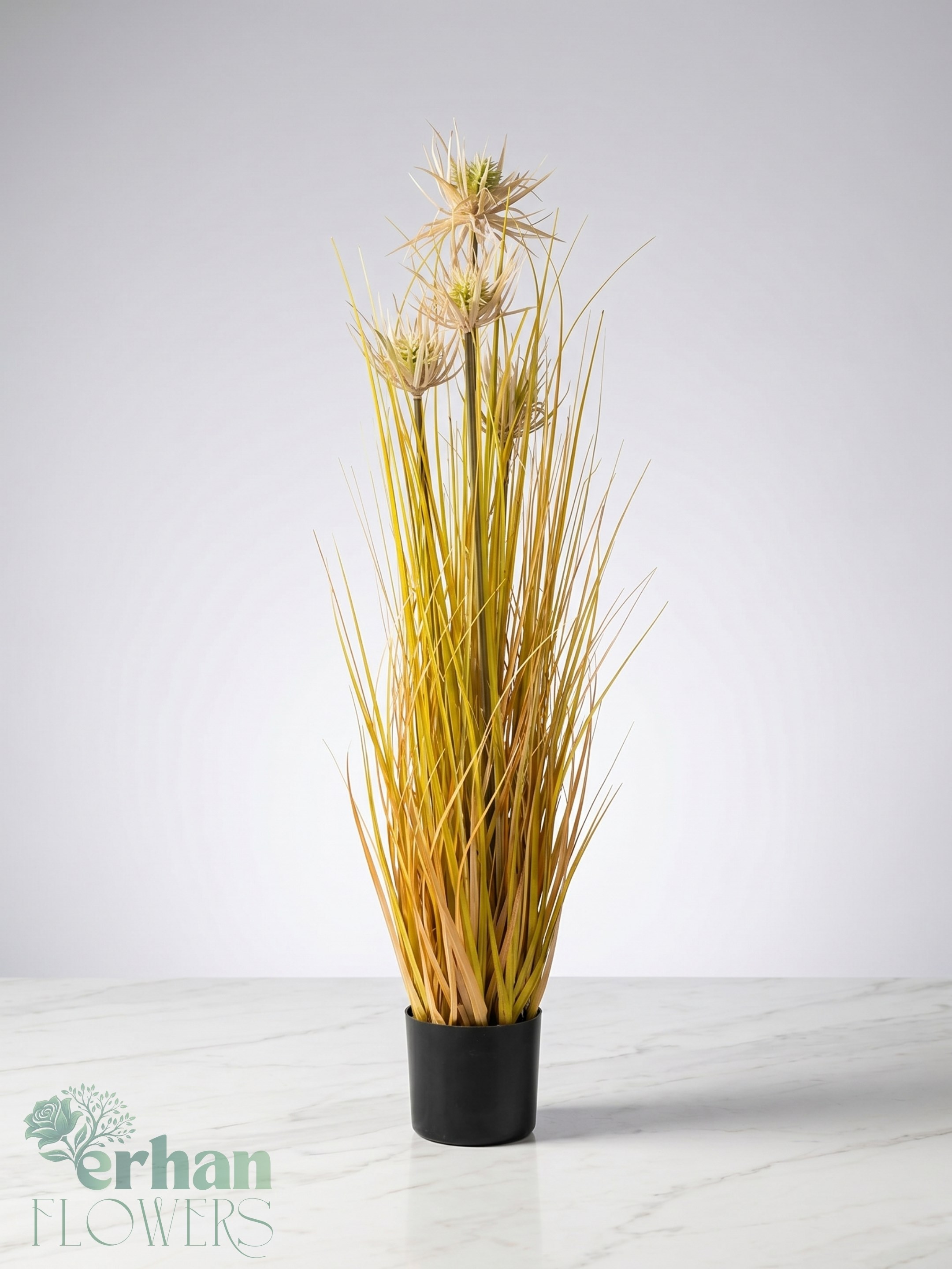 Yapay Çöl Bitkisi Star Grass 85 cm | Siyah Saksılı Dekoratif BitkiYapay Çöl Bitkisi (Star Grass) Siyah Plastik Saksı 85 cm
