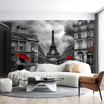 Dreamwall Siyah Beyaz Paris Eyfel Kulesi Desenli Silinebilir Kumaş Duvar Kağıdı