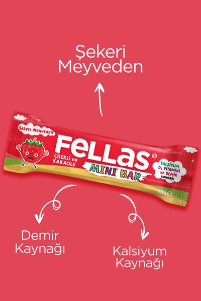 Mini Meyve Bar - Çilekli ve Kakaolu 28g x 12 Adet