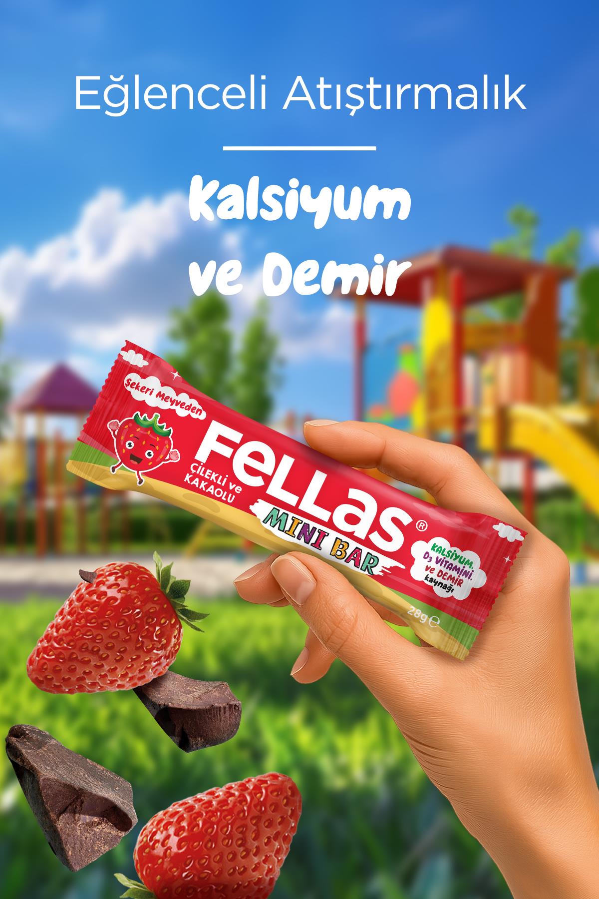 Mini Meyve Bar - Çilekli ve Kakaolu 28g x 12 Adet | Fellas Foods