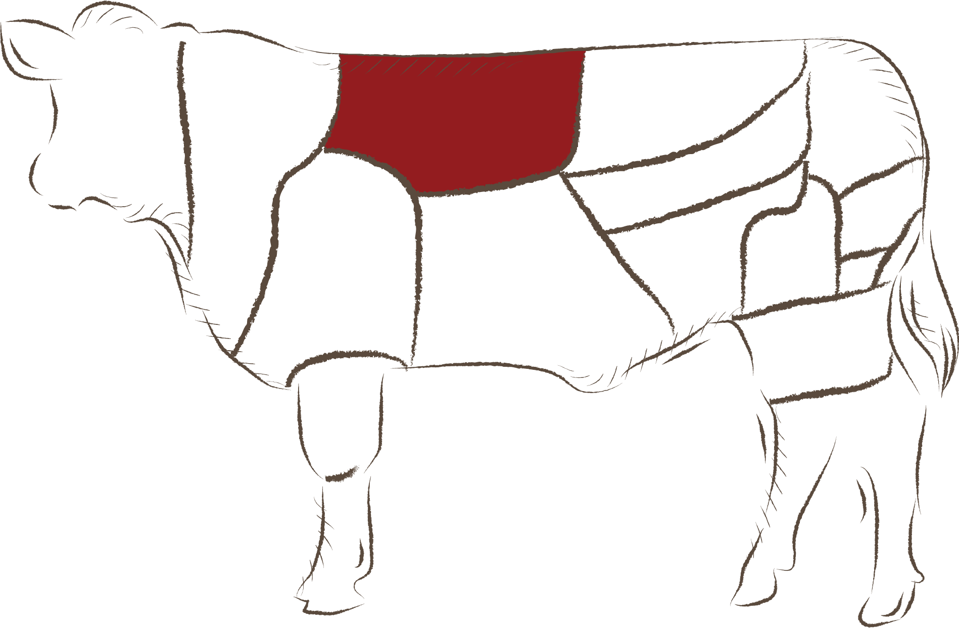 Dana Antrikot