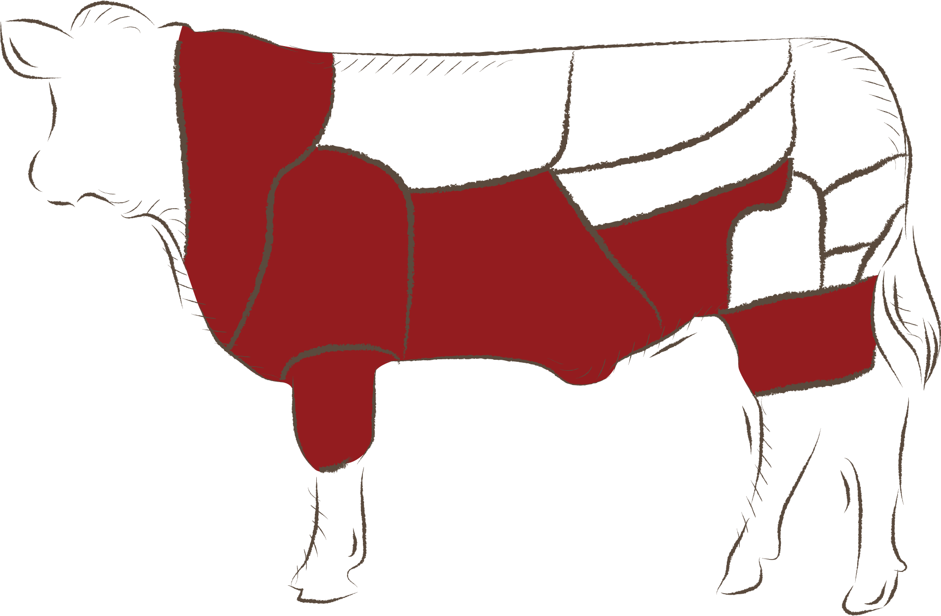 Dana Antrikot