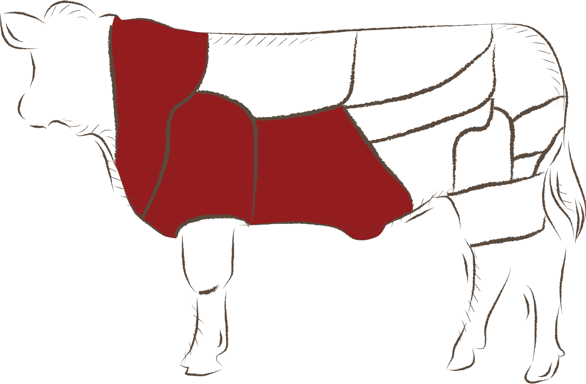 Dana Antrikot
