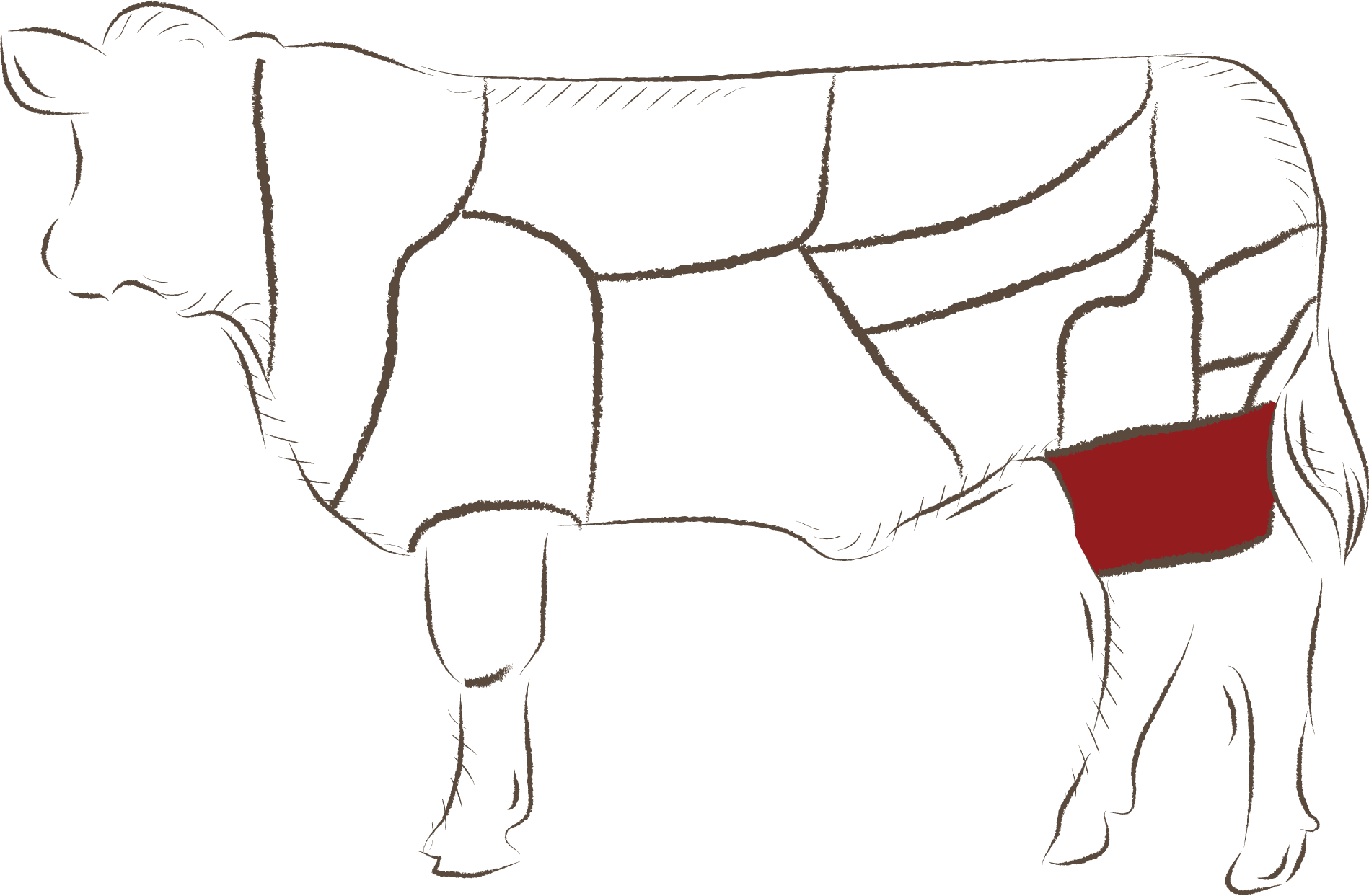 Dana Antrikot