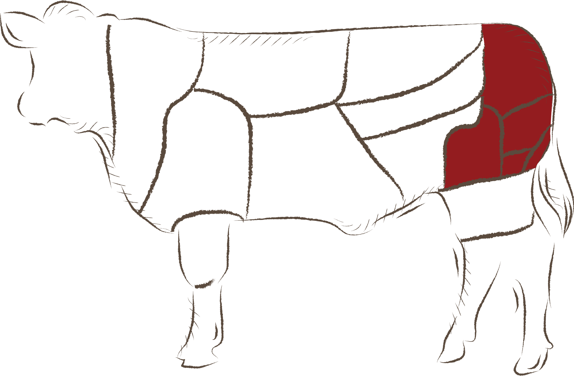 Dana Antrikot