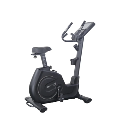 PROFITNESS 1050U BLACK DİKEY BİSİKLET