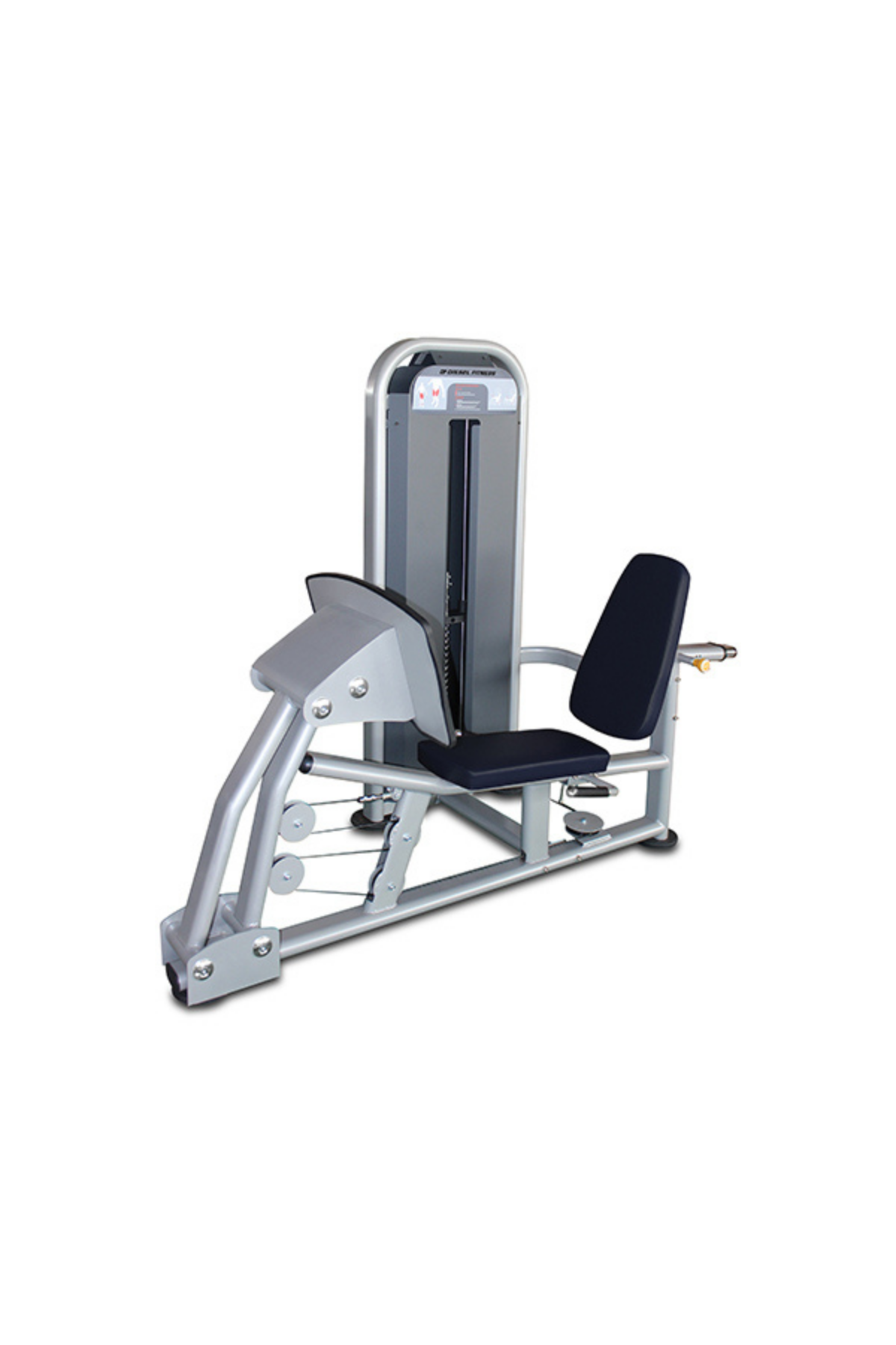 DIESEL FITNESS D17 LEG PRESS / CALF MACHINE