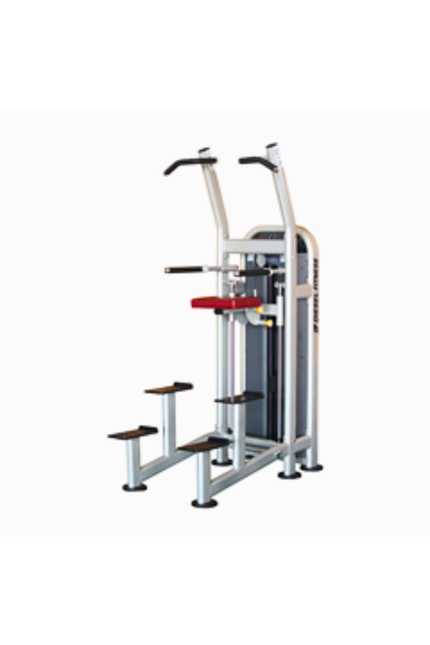 DIESEL FITNESS D34 UPPER LIMBS