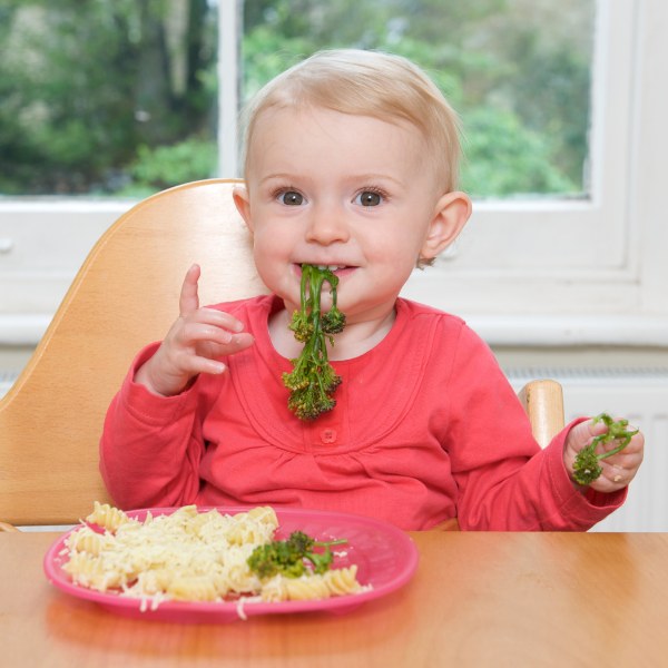 bebeklerde organik beslenme