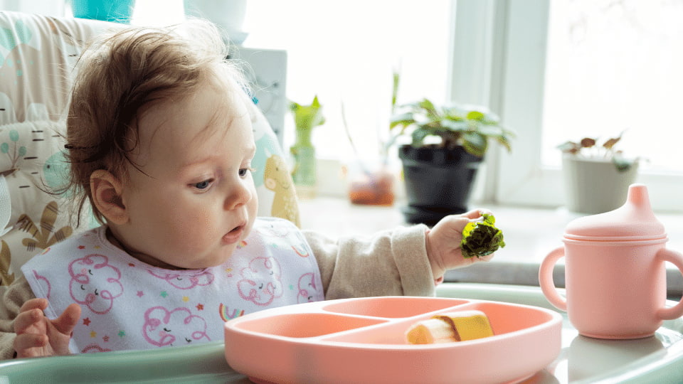 Bebeklerde BLW Yöntemiyle Beslenme