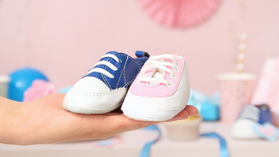 Bebek Cinsiyeti Öğrenme