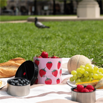 Les Artistes Paris Isı Yalıtımlı Çelik Yemek Termosu 700ML - Strawberry
