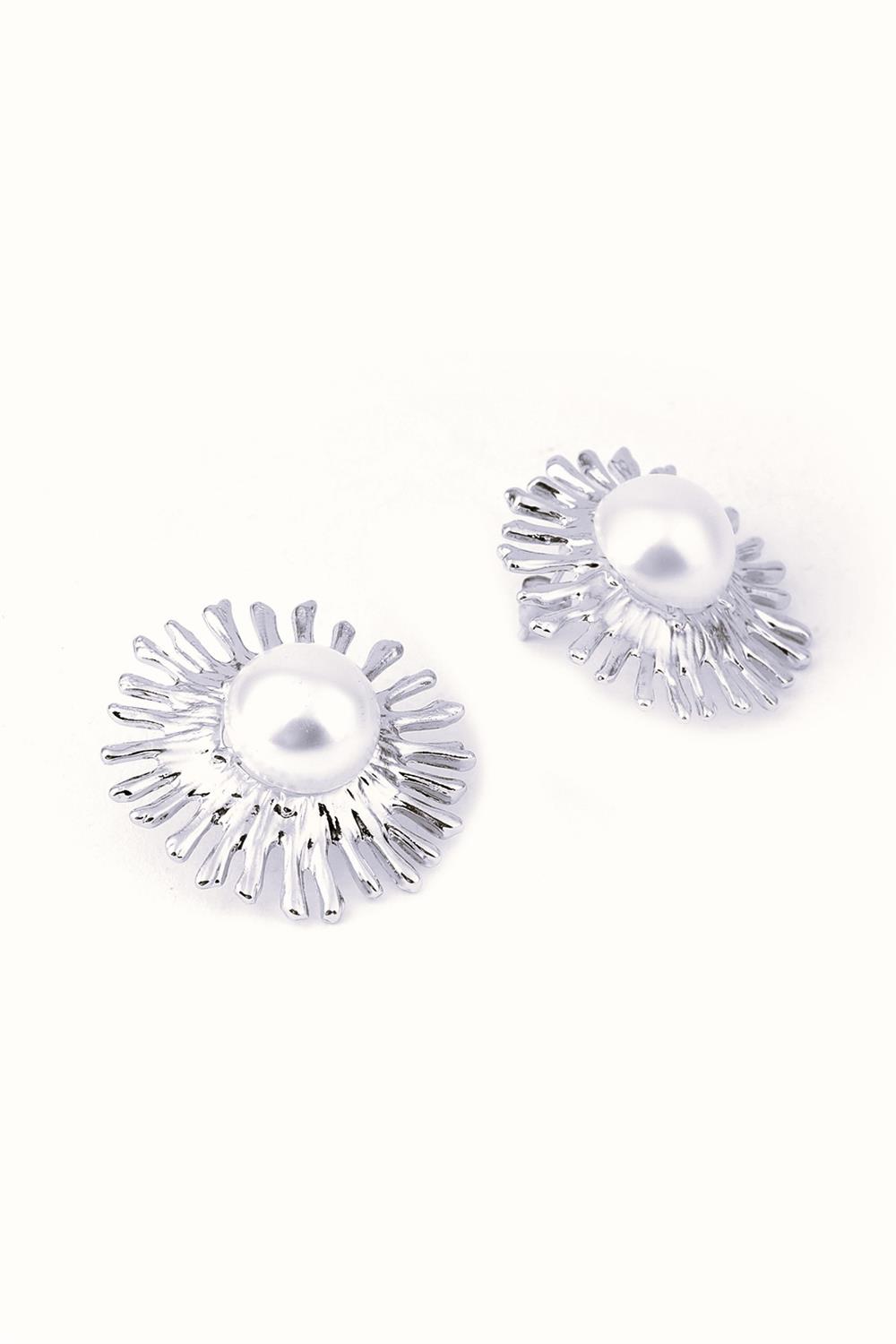 Bijuteri Küpe Silver