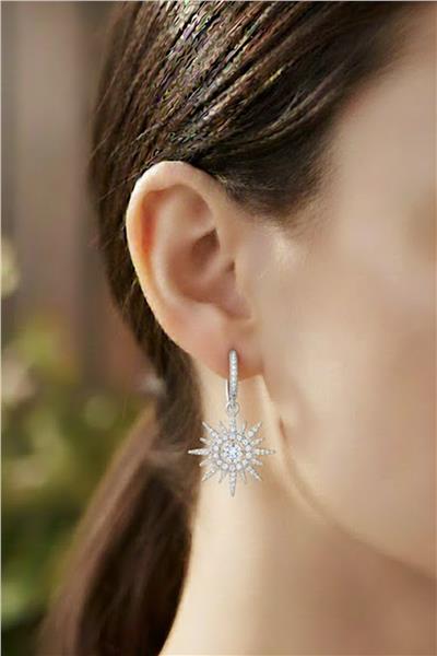 VIP 14K Küpe SILVER