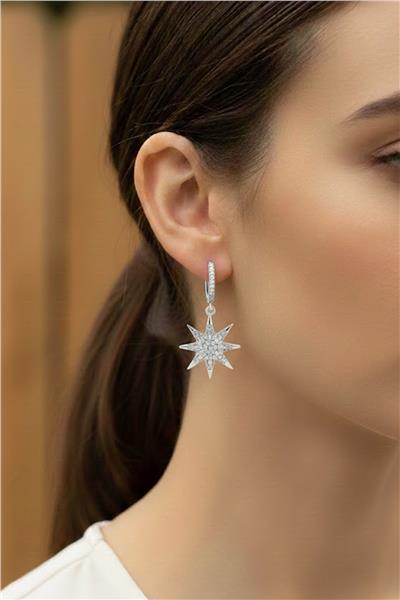 VIP 14K Küpe SILVER