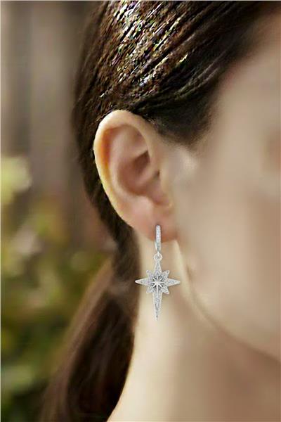 VIP 14K Küpe SILVER