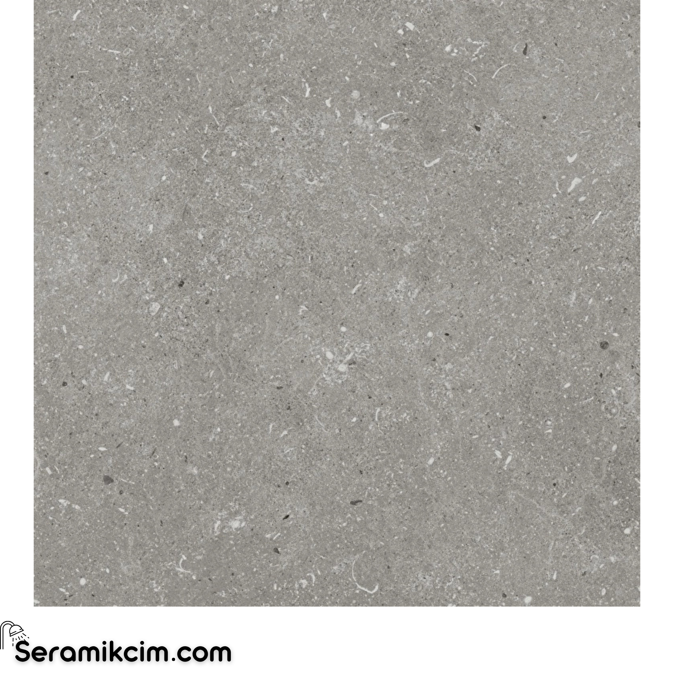80X80 Stoneart Gri R11 20mm 5R