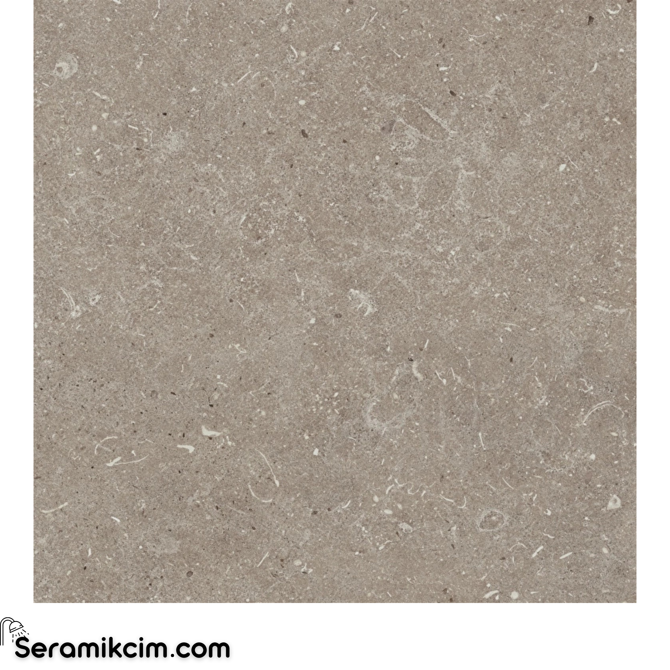 80X80 Stoneart Vizon R11 20mm 5R