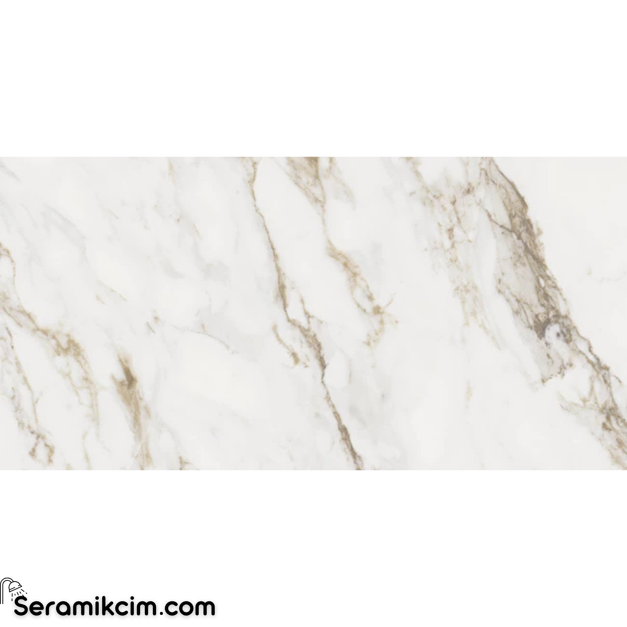 Çanakkale Seramik Gmb-R1334 Florence Mat-T 60X120