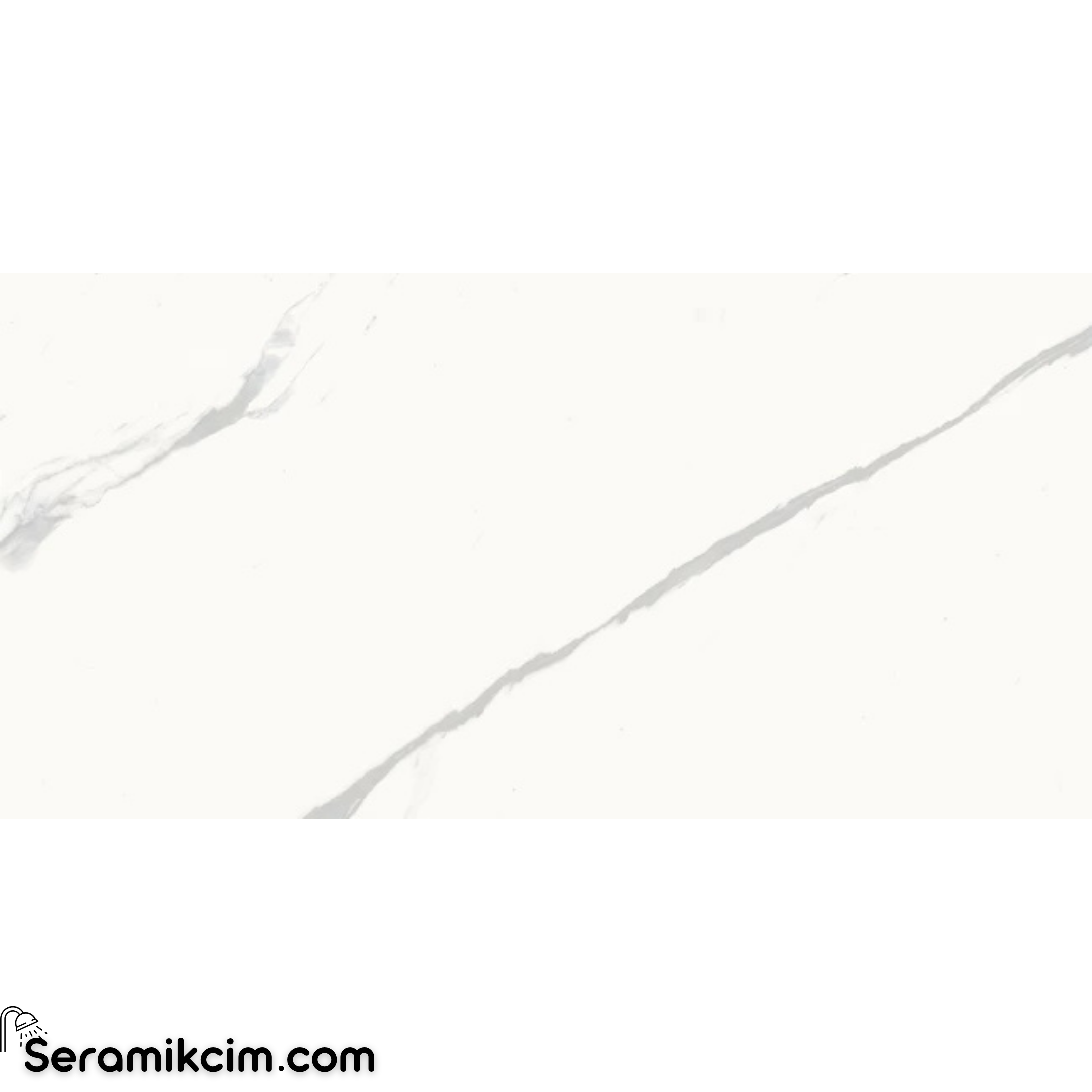 Çanakkale Seramik Gmb-R3456 Calacatta Calma Mat 60X120