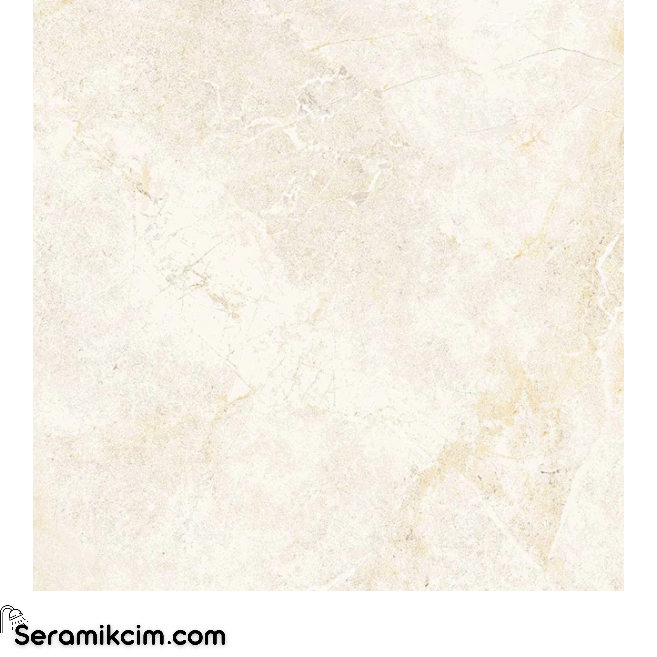 Çanakkale Seramik Gs-D6188 Salvia Kemik 45X45